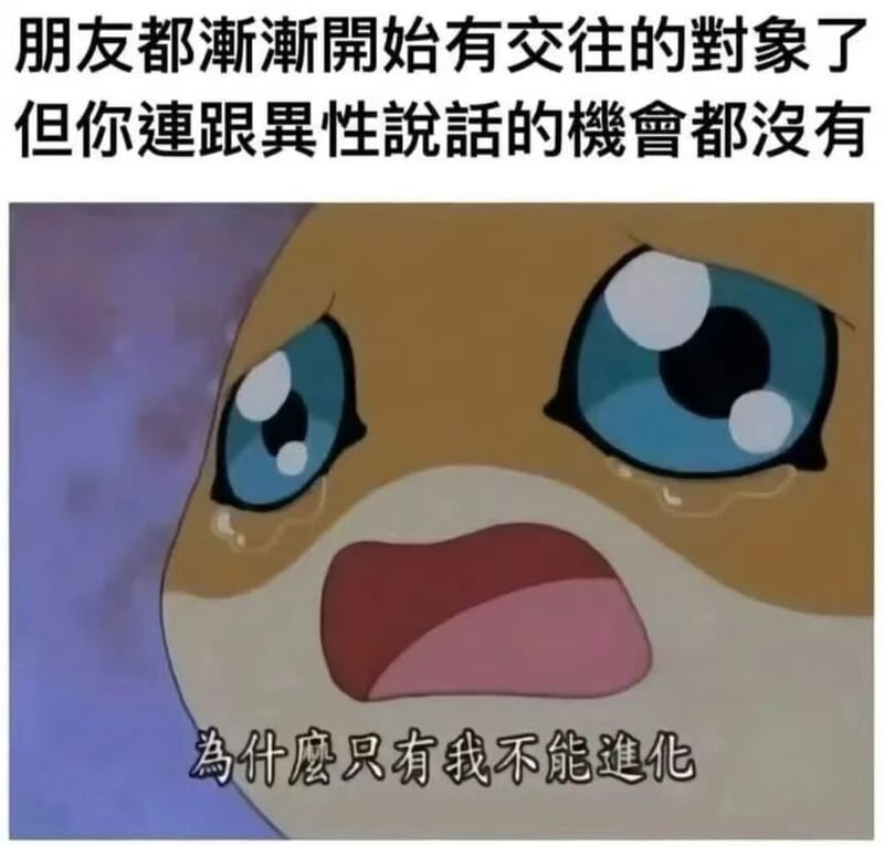 迪路兽