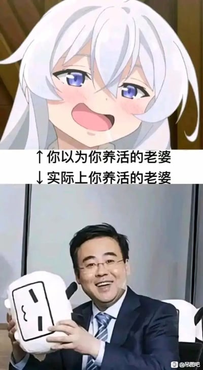 这是一张上下拼接的反差梗图，上方呈现的是动画《魔女之旅》的主角伊蕾娜，她有着银白色长发与蓝紫色眼眸，面带红晕、开心大笑，搭配文字“↑你以为你养活的老婆”，指代二次元爱好者心中憧憬的二次元“老婆”形象；下方是哔哩哔哩（B站）董事长陈睿，他身着西装领带，双手捧着B站“充电”功能对应的插座造型玩偶，开怀大笑，搭配文字“↓实际上你养活的老婆”，玩的是B站用户“充电”打赏的梗，调侃二次元爱好者以为自己在为喜欢的二次元内容/角色投入，实际是在为B站平台贡献，通过理想与现实的强烈反差制造搞笑效果。