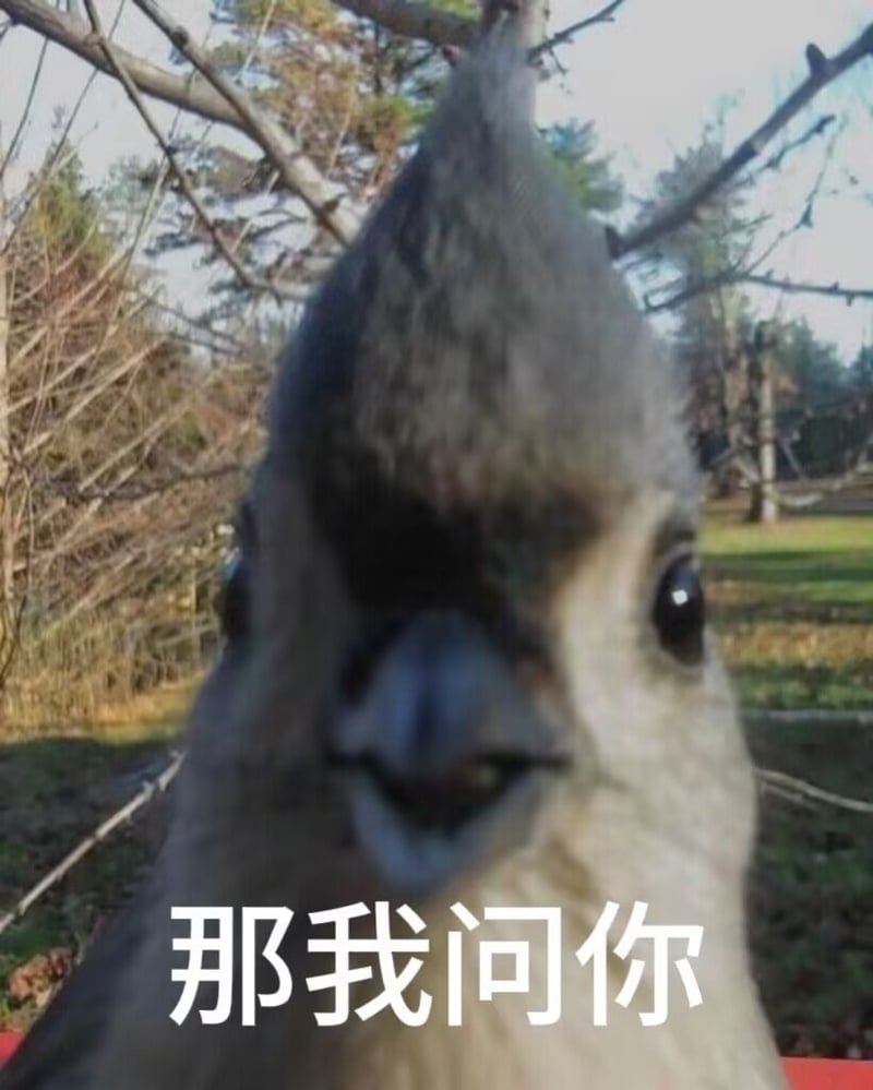 鸟
