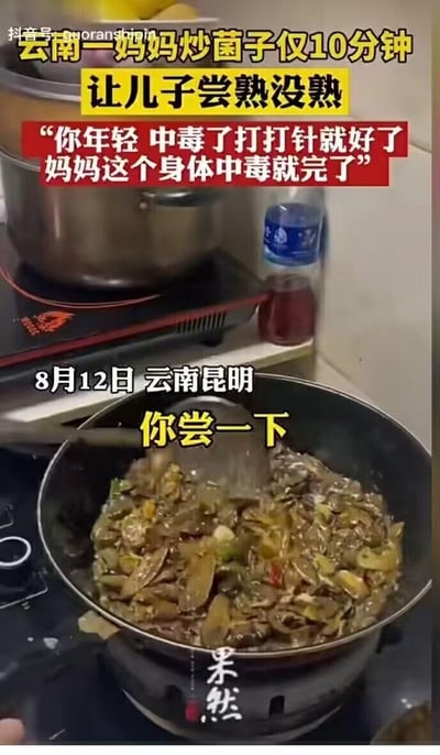 这是一段来自云南昆明的视频截图，8月12日，一位妈妈炒制了仅10分钟的野生菌，让儿子帮忙品尝判断是否熟透，还说出了‘你年轻，中毒了打打针就好了，妈妈这个身体中毒就完了’的话，画面中展示了正在锅中翻炒的菌子。妈妈的这番话既让人觉得好笑又带着一丝无奈，生动体现了云南地区食用野生菌时的特殊趣味日常，内容无谐音梗、双关或暗示。