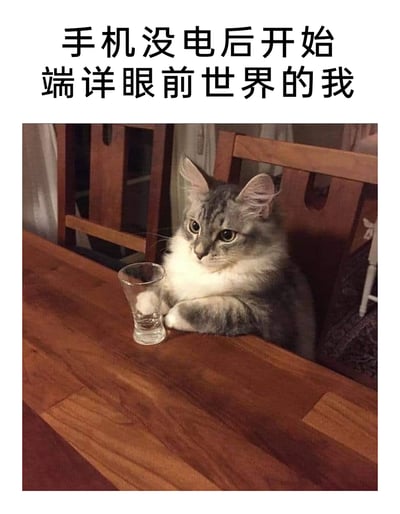 这是一张充满共鸣感的网络搞笑梗图，图片上方配有文字“手机没电后开始端详眼前世界的我”，下方是真实拍摄的场景：一只灰白相间的长毛猫咪坐在木质椅子上，两只前爪搭在餐桌上，面前放着一个装有少量液体的透明小玻璃杯，猫咪眼神茫然放空，神态仿佛在发呆，生动还原了当代人在手机没电、脱离电子设备后，无所事事只能发呆观察周围环境的状态，精准戳中了现代人依赖手机的生活痛点，引发强烈共鸣。