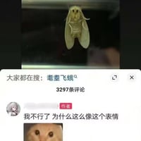 震惊猫