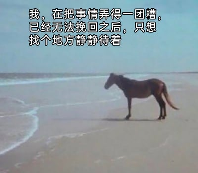 这是一张文字加注类静态单图，画面主体是一匹深色的马独自站立在空旷的海滩上，轻柔的海浪拍打着沙滩，背景是开阔的海天区域，整体画面氛围孤寂又安静。图片上方配有一段中文文字：“我，在把事情弄得一团糟，已经无法挽回之后，只想找个地方静静待着”，这段文字借独马的孤寂画面，精准表达了当代人在工作或生活中把事情搞砸且无法补救后，内心充满低落、愧疚，渴望远离纷扰、找地方独处平复心情的心境，容易引发同类情绪人群的共鸣。