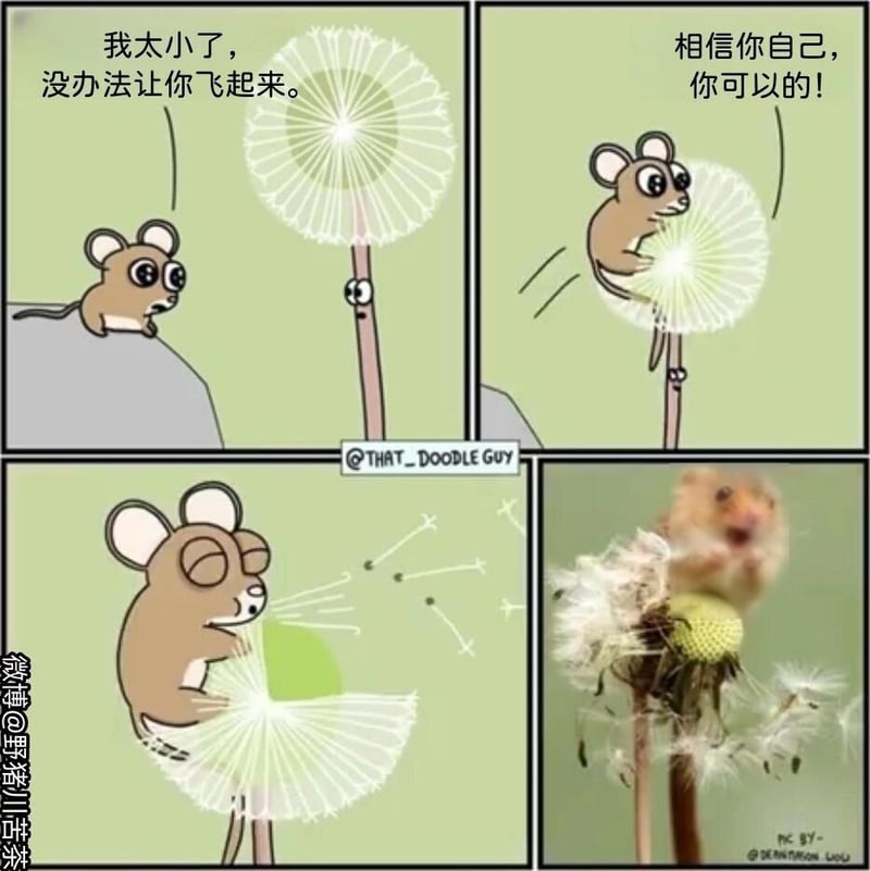 现实拍摄素材