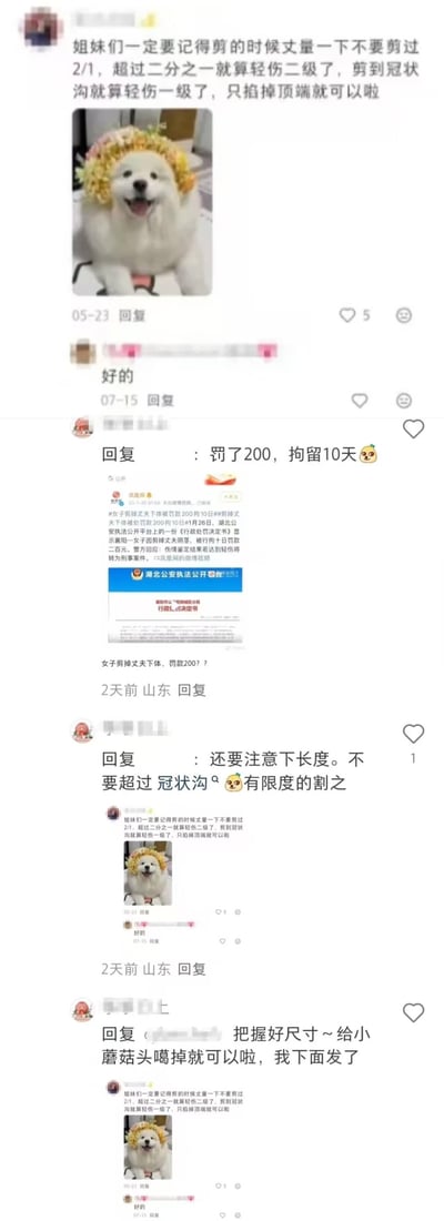 这是一组国内社交平台的评论区截图，内容包含极其恶劣的违法教唆言论：有用户所谓“指导”其他女性，在伤害男性下体时控制剪切长度，以规避更严重的法律处罚，还明确提及不同伤害程度对应的伤情鉴定等级；同时附上了2023年湖北襄阳一女子剪掉丈夫阴茎仅被罚款200元、拘留10天的新闻截图，其他用户在评论区附和并重复强调要控制伤害的“尺寸”，甚至用“噶掉小蘑菇头”这样的低俗表述。配图是一只戴着浴花、表情开心的萨摩耶，和文字的恶劣内容形成荒诞的反差，整体内容严重违背公序良俗且涉及违法教唆。