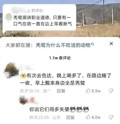 这是一张关于“鸵鸟为什么不吃活的动物”的问答型表情梗图，上半部分是一条网友评论称鸵鸟很讲职业道德，“只要有一口气就在边上等着断气”，调侃鸵鸟的行为相当敬业。下方是另一个网友的经历分享，说喝多了在路边睡了一夜，早上醒来身边全是鸵鸟，数字表情和“你说它们得多失望”把鸵鸟描绘成一群失落的动物，槽点十足，暗含人鸵互动的幽默。评论区用诸如“大失所望”的猫表情加强搞笑氛围。

本图充满网络段子气息和冷幽默，包含一定的拟人化、夸张和轻微双关（“等着断气”等）。