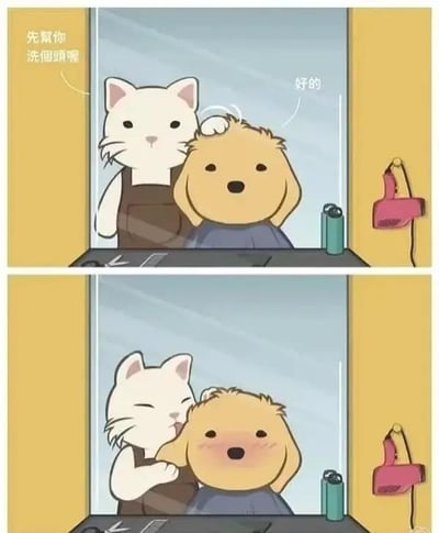 这是一组上下拼接的连环静态卡通图，呈现了一个温馨又有反差感的小剧场：
第一格画面：穿着深色围裙的白猫理发师，对着坐在理发椅上的小狗顾客温和地说“先帮你洗个头喔”，小狗一脸乖巧地回应“好的”，场景看起来是常规的理发店服务准备。
第二格画面：白猫并没有真的给小狗洗头，而是凑上前亲了小狗的脸颊，小狗瞬间脸红，眼睛睁大，露出又惊讶又害羞的表情。
整个漫画用“洗头”的说法制造预期反差，实际是甜蜜的亲吻互动，风格治愈可爱，没有双关或谐音梗。