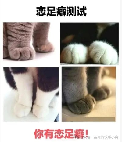 这是一张玩笑性质的整蛊梗图，以“恋足癖测试”为主题，上方用黑色大字标注测试标题，中间拼接了四张不同猫咪的爪子特写照片，这些猫爪形态各异、毛绒可爱，底部用醒目的红色大字给出“你有恋足癖！”的“测试结果”。这是一个无厘头的搞笑测试，利用大众对可爱猫爪的喜爱心理，不管观看者是否被猫爪吸引，都会被“判定”为有恋足癖，全程没有恶意，只是通过反差和可爱元素制造轻松搞笑的氛围。