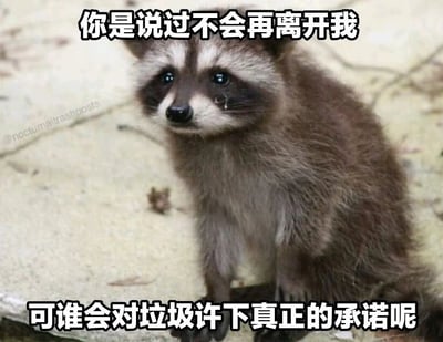 图片主体是一只表情悲伤的浣熊，它坐在混凝土地面上，眼睛注视前方，脸上似乎有泪痕。图片上方配有文字“你是说过不会再离开我”，下方配有文字“可谁会对垃圾许下真正的承诺呢”。整体通过浣熊的拟人化表情和文字内容，营造出一种被抛弃后的自我调侃与悲伤情绪，形成强烈的情感反差。