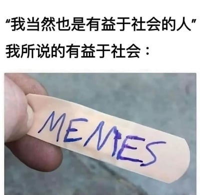 图片上方为两行黑色文字：“我当然也是有益于社会的人”和“我所说的有益于社会：”，下方是一张实拍图：一只手捏着一个米色创可贴，创可贴上用紫色马克笔手写着“MEMES”字样，字体随意自然。通过前后内容的反差制造幽默效果——将“有益于社会”的宏大表述与“创作/分享MEMES”这种轻松的网络行为关联，形成自嘲式调侃，展现了当代年轻人用幽默方式解构严肃话题的特点。