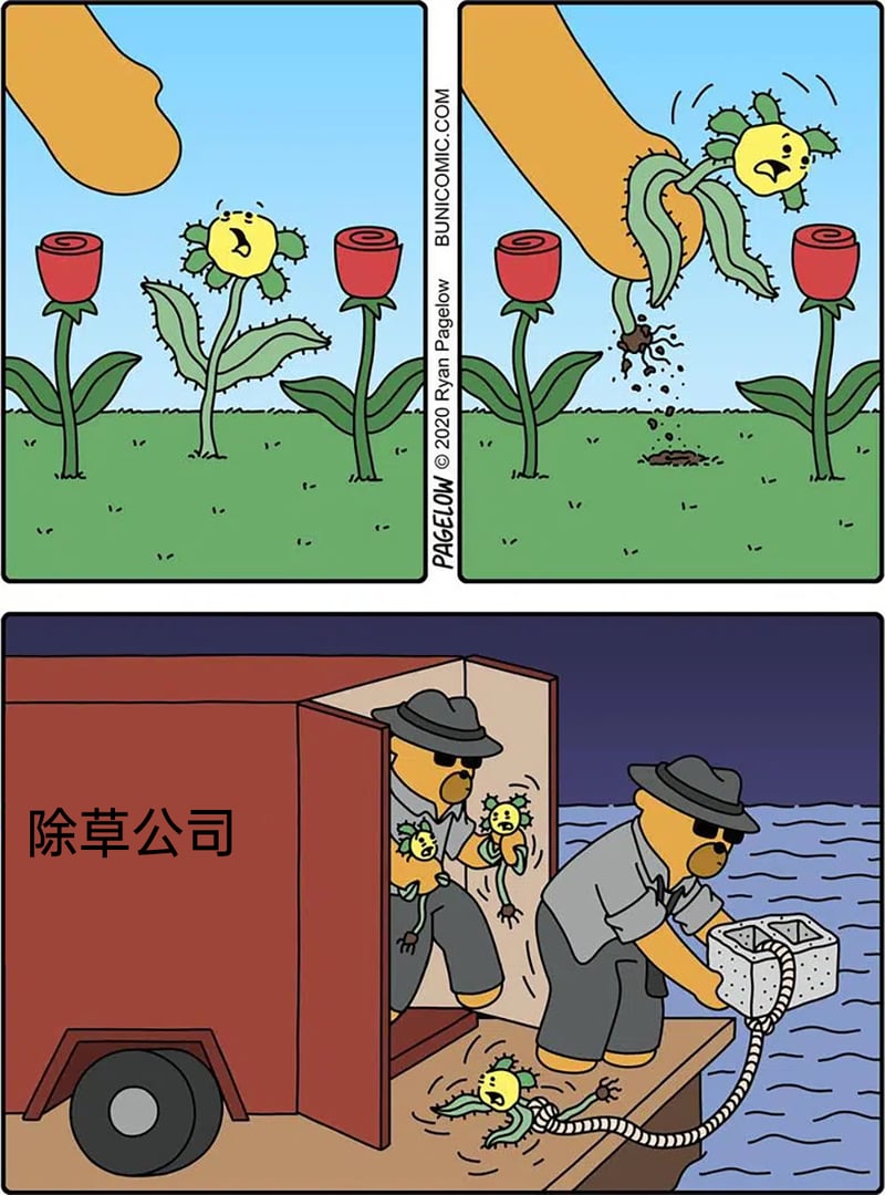 除草公司员工