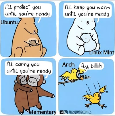 这是一张四格卡通连环梗图，针对四款常见Linux发行版的新手友好度进行拟人化调侃：第一格对应Ubuntu，以袋鼠形象出现，配文表示会保护新手直到对方可以独立操作；第二格对应Linux Mint，以白熊形象出现，配文表示会给新手提供舒适的使用环境直到对方可以独立操作；第三格对应elementary OS，以猴子形象出现，配文表示会带着新手前进直到对方可以独立操作；第四格对应Arch Linux，以大鸟形象出现，直接把幼鸟踹下树枝，配文粗口要求对方直接飞，讽刺Arch Linux没有新手友好的过渡设计，上手门槛高，需要用户自行解决所有使用问题。