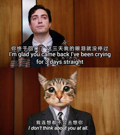 这是一张上下拼接的趣味梗图，采用了口是心非的反差设定。上方是一位身处电梯内的人类男性，眼含泪水，配文用中英双语表达了对方归来时自己激动到连续哭了三天的强烈想念；下方则是将猫脸替换在人类身体上的形象，配文嘴硬地表示“我连想都不会去想你”，但猫睁着的大圆眼却暴露了其内心其实非常在意、委屈的真实情绪，通过这种言行不一的反差制造出搞笑又戳人的效果，适合用来调侃自己或他人嘴上逞强但内心柔软的状态。