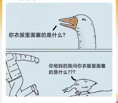 这是一张连环卡通梗图，分为上下两个场景：
上半场景中，一只鹅从水面探出头，配文询问“你衣服里面塞的是什么？”；
下半场景里，一名穿着厚外套的人正在向前奔跑，一只鹅掉落在地面上，它愤怒地对着人的背影大喊“你他妈的我问你衣服里面塞的是什么？？？”。
图中的趣味点在于，上半部分看似是水中的鹅在提问，实际是被塞进人衣服里的鹅，在掉落出来后，愤怒地质问将自己塞在衣服里的人，前后场景形成了荒诞的反差，制造出搞笑的效果。
