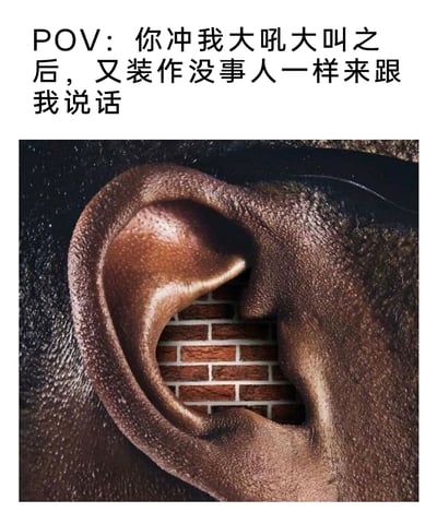 这是一张创意合成的情绪表达梗图，上方配有文字“POV：你冲我大吼大叫之后，又装作没事人一样来跟我说话”，下方的图像将人类耳道的部分替换成了红砖墙的图案。这种视觉化的创作，把“被他人冒犯后不想再听对方说话”的抽象心理，具象成“用砖墙封闭耳朵”的画面，生动传递出在经历冲突后的抵触情绪与拒绝沟通的态度，精准戳中人们在人际相处中被伤害后产生抗拒心理的共鸣点。