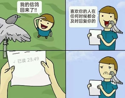 这是一幅四格连环卡通漫画，通过复古信鸽传信与现代社交场景结合制造反差笑点与扎心共鸣：第一格中，卡通男孩兴奋地抬手欢呼，喊出「我的信鸽回来了!!」，满心期待信鸽带回的消息；第二格中，男孩手持信纸，画面配文「喜欢你的人在任何时候都会及时回复你的」，烘托出对收到回应的期待；第三格特写展示信纸内容，上面是现代社交软件标志性的「√已读23:49」标识，直接打破期待，暗示消息已被查看但未得到回复；第四格中，男孩瞬间面露悲伤，眼角挂着泪水，信鸽站在他肩头，画面精准戳中人们在社交中遭遇「已读不回」的无奈与失落情绪。