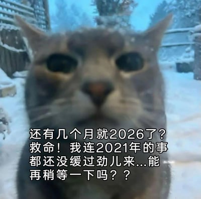 这是一张文字加注类的静态表情包，画面主体是一只身处雪地中的灰色猫咪，它眼神空洞、表情呆滞，传递出茫然无措的情绪。图中配文“还有几个月就2026了？救命！我连2021年的事都还没缓过劲儿来...能再稍等一下吗？？”，精准戳中了当代人面对时间飞速流逝的焦虑与无奈：还没从过去的生活节奏、未消化的过往事件中缓过神，却发现时间已经快来到2026年，这种对时间“追赶不上”的感慨，极易引发大众共鸣，成为表达时间焦虑情绪的热门素材。