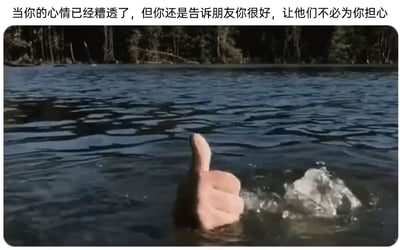 这是一张用于表达情绪的网络梗图，画面呈现出一只手从水面伸出，做出点赞的手势，而手的主人实际正溺水在水中，水面的波纹暗示着其在水下的挣扎。图片上方配有文字：“当你的心情已经糟透了，但你还是告诉朋友你很好，让他们不必为你担心”，将画面的视觉内容与现实中人们的情绪状态精准对应，用溺水却强装安好的夸张隐喻，生动地刻画了当代人内心已经濒临崩溃、情绪糟糕至极，却为了不让身边人担心，在他人面前故作坚强、隐藏真实情绪的普遍处境，能够引发众多有类似经历人群的情感共鸣。