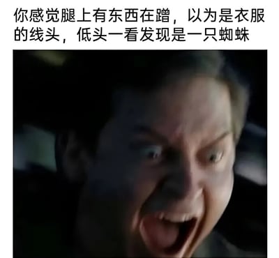 图片上方配有文字描述：'你感觉腿上有东西在蹭，以为是衣服的线头，低头一看发现是一只蜘蛛'。下方是一张电影截图，显示一名男子因恐惧而极度震惊的表情特写，眼睛瞪大，嘴巴大张，完美表达了发现蜘蛛时的惊恐反应。