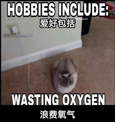 一张幽默的猫咪梗图，画面中一只猫正四脚朝天地躺在地板上，旁边有一根电线。图片上方用英文和中文写着"HOBBIES INCLUDE: 爱好包括"，下方对应写着"WASTING OXYGEN 浪费氧气"。这张图通过拟人化的方式，幽默地暗示这只猫的爱好就是"浪费氧气"，用夸张的自嘲手法表现了一种慵懒、无所事事的状态。