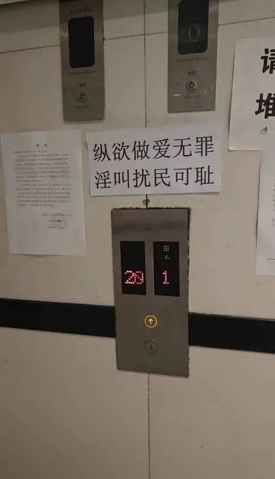 电梯内部墙壁上张贴着一张引人注目的告示，内容为“纵欲做爱无罪 淫叫扰民可耻”。告示下方是电梯楼层显示屏，显示当前在28楼和1楼之间。周围还有其他几张官方通知类的纸张。这张图片通过直白的语言表达了对居民生活噪音问题的关注，尤其是针对夜间可能产生的扰民声音提出了委婉批评。
