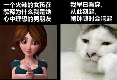 图片分为左右两栏，左栏是一位3D动画风格的棕发女孩，双手合十，表情认真，上方文字写着‘一个火辣的女孩在解释为什么我是她心中理想的男朋友’；右栏是一只现实中的白猫，眼神慵懒略带不屑，上方文字为‘我早已看穿，从此刻起，闹钟随时会响起’。通过左右对比，形成一种幻想与现实的反差幽默，左边代表对理想男友的美好想象，右边则用猫的清醒态度暗示这种幻想可能随时被现实（如闹钟响起）打破。