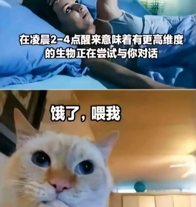 图片为上下拼接的幽默梗图。上半部分显示一名男子深夜躺在床上，眼神惊讶地仰视上方，配文“在凌晨2-4点醒来意味着有更高维度的生物正在尝试与你对话”，营造神秘超自然氛围；下半部分是一只蓝眼白猫的近距离特写，眼神专注直视镜头，配文“饿了，喂我”。通过将“高维度生物”的玄乎解释与猫咪饿了的日常需求形成强烈反差，产生搞笑效果，调侃了深夜醒来的常见原因。