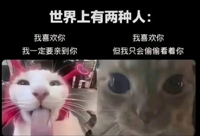 这是一张左右分栏的图文对比梗图，顶部用醒目的大字标注“世界上有两种人：”，以此引出两种不同的恋爱心态。左侧是一只表情亢奋激动的白猫，它吐着长长的舌头，神态外放热烈，搭配的文字是“我喜欢你 我一定要亲到你”，代表在感情中主动直接、敢于热烈表达爱意的类型；右侧是一只眼睛瞪大、神态羞涩紧张的猫咪，搭配的文字是“我喜欢你 但我只会偷偷看着你”，代表在感情中腼腆内敛、只会默默关注对方，不敢主动出击的类型。整张图用两种反差感强烈的猫咪状态，生动具象地展现了现实中不同人面对喜欢的人时的两种极端表现，内容幽默又贴合生活，容易引发共鸣。