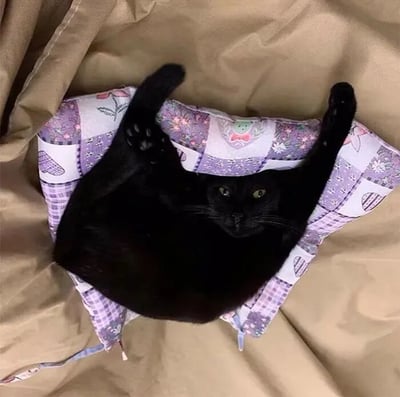 一只纯黑色猫咪仰躺在带有紫色花纹的拼布枕头上，四肢舒展，黄色眼睛直视镜头，背景是米色布料。猫咪姿态放松，展现出舒适惬意的居家场景。