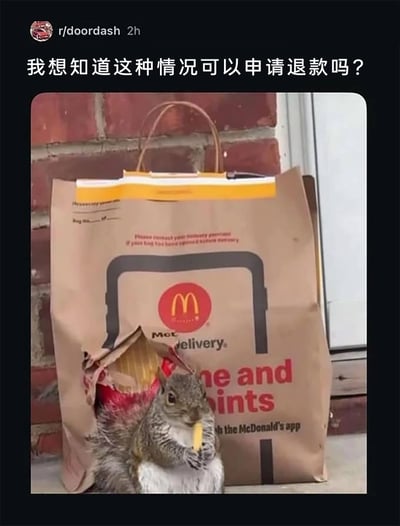 这是一张来自Reddit论坛r/doordash板块的社交媒体截图，图中展示了一个放置在门口砖墙旁的麦当劳外卖纸袋，袋子被破出一个大洞，一只松鼠从破洞中钻出来，正捧着食物专注地进食。帖子的配文为中文“我想知道这种情况可以申请退款吗？”，呈现了外卖送达后被野生动物意外偷吃的搞笑又无奈的场景，用户借此询问这种特殊状况下是否能够申请退款。