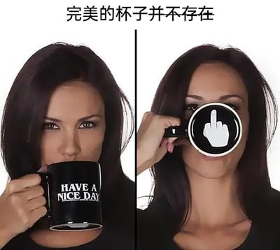 这是一张左右对比的静态图，图片上方配有中文文字“完美的杯子并不存在”。左侧画面中，一位深色长发的女性手持黑色水杯，杯身印有白色英文“HAVE A NICE DAY”，她将杯子放在嘴边，表情平静；右侧画面里，这位女性将杯子举到脸部前方，杯子底部露出，印着一个白色的竖中指手势，此时她露出笑意。杯身的友善标语和杯底的冒犯性手势形成强烈反差，制造出整蛊、搞笑的效果，呼应了上方的配文。