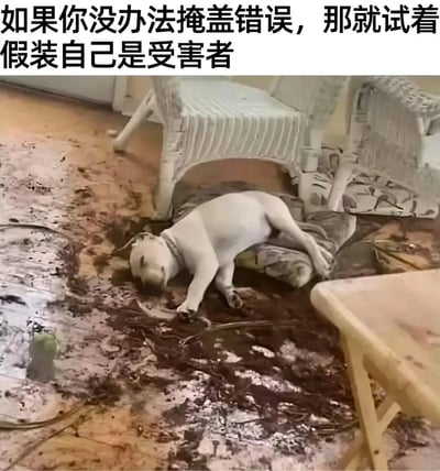 图片展示了一只白色小狗趴在凌乱的房间地板上，周围散落着疑似巧克力的棕色污渍和碎屑。小狗侧躺在一个垫子上，头低垂，眼神看起来无辜，仿佛自己也是受害者。图片上方配有文字：'如果你没办法掩盖错误，那就试着假装自己是受害者'，通过狗狗闯祸后假装无辜的场景，幽默地讽刺了那些不愿承担责任、反而扮演受害者的行为。