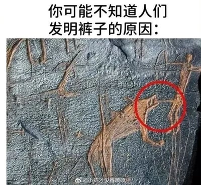 这是一张趣味改编的梗图，采用顶配底文的图文混排形式，顶部配有文字“你可能不知道人们发明裤子的原因：”，下方主体是史前岩画的实拍图，岩画上刻画了远古狩猎场景，其中一处站立的人形岩画的下体部位被红色圆圈特意标注，该部位的刻画线条相对突出，创作者借这个细节玩梗，以调侃的方式暗示原始人类发明裤子是为了遮挡突出的外露部位，内容搞笑脑洞大开。