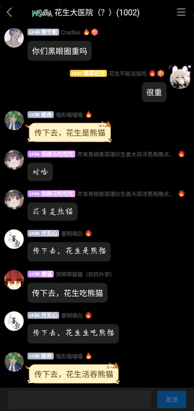 这是一张竖屏格式的群聊截图，群名为“花生大医院（？）(1002)”，群成员围绕“黑眼圈重不重”的话题展开趣味玩梗。成员翡翠花生称自己黑眼圈很重，被成员破命调侃“传下去，花生是熊猫”，随后其他群成员接力玩梗，将内容逐步夸张变形，依次变成“花生是熊猫”“花生吃熊猫”“花生生吃熊猫”“花生活吞熊猫”，形成了群聊中常见的接力式搞笑对话，整体氛围轻松诙谐，展现了网友群聊时的趣味互动方式。