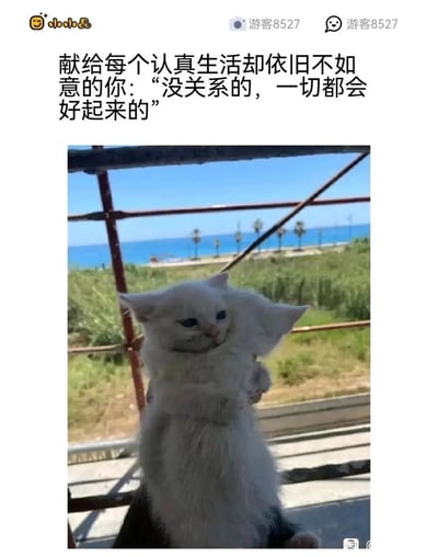 这是一张社交媒体发布的暖心治愈类图文内容，顶部配有安慰文字：“献给每个认真生活却依旧不如意的你：‘没关系的，一切都会好起来的’”，下方的图片呈现出视觉错位效果——两只白色猫咪紧紧互相拥抱，从特定角度看仿佛是一只长着两个头的猫，背景是有着蓝天、碧海与棕榈树的户外清新景色。整体内容用可爱柔软的猫咪拥抱画面搭配温柔的鼓励文字，旨在给生活中遭遇不顺、感到失意的人带来慰藉与力量，传递出温暖治愈的氛围。