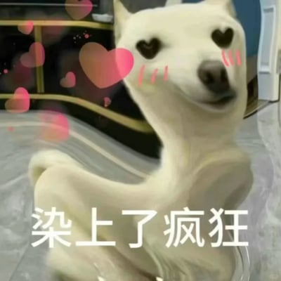 这是一张经过二次创作的网络表情包，主体是被夸张扭曲的白色狗狗形象，创作者将狗狗的眼睛修改为爱心形状，脸颊添加了粉色红晕特效，画面中还点缀了飘动的粉色爱心，狗狗的身体呈现出动态模糊的扭曲姿态，下方搭配文字“染上了疯狂”，整体风格搞怪诙谐，精准传递出陷入狂热喜爱、失去理智的花痴情绪，适合在社交聊天中表达对人或事物的强烈迷恋与激动心情。