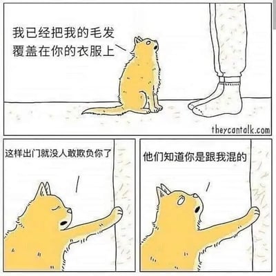 三格连环漫画描绘了一只黄色猫咪的暖心行为：第一格中猫咪坐在人物脚边，抬头说“我已经把我的毛发覆盖在你的衣服上”；第二格猫咪闭眼抬爪，补充“这样出门就没人敢欺负你了”；第三格猫咪睁眼强调“他们知道你是跟我混的”。整体风格可爱幽默，通过猫咪的“霸道”保护欲展现宠物与主人的温馨关系。