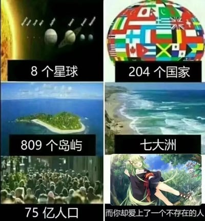 这是一张2x3网格布局的多图拼接梗图，通过展示宏大的世界观数据与个人情感选择形成对比制造幽默效果。上排左图为太空星球场景配文“8个星球”，上排右图为各国国旗组成的地球配文“204个国家”；中排左图为海洋中的岛屿配文“809个岛屿”，中排右图为海滩风景配文“七大洲”；下排左图为密集人群配文“75亿人口”，下排右图为动漫风格绿发少女倚靠在树上的画面，配文“而你却爱上了一个不存在的人”。通过前面五张展现世界广阔性的图片铺垫，最后一张图揭示“爱上虚构角色”的反差结局，调侃动漫爱好者对虚拟人物的喜爱。