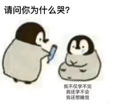 这是一张静态卡通表情包，画面中有两只裹着毯子的卡通企鹅，左侧的企鹅拿着类似手机的物品，向右侧蜷缩着的企鹅发问“请问你为什么哭？”，右侧的企鹅带着委屈沮丧的神情，下方配文回答“我不仅学不完 我还学不会 我还想睡觉”，精准地表达出当代学习者面对学习任务时，因任务繁重、学习困难加上困倦而产生的崩溃与沮丧情绪，很容易引发有类似经历的人的共鸣。