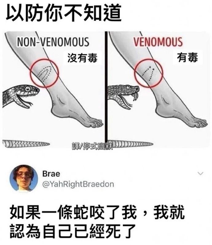 科普示意图角色