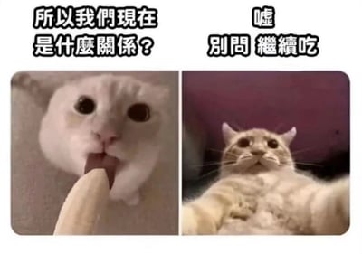 这是一张双图拼接的猫咪梗图，左边是一只表情惊讶的白猫看着香蕉，配文“所以我們現在是什麼關係?”；右边是一只表情同样惊讶的橘猫躺着，配文“嘘 别问 继续吃”。通过拟人化的对话，幽默地表现了面对关系问题时想要回避并继续享受当下的心态。
