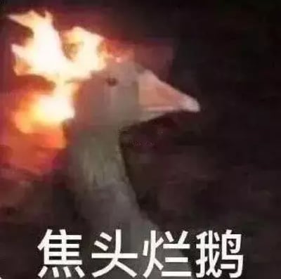 这张表情包图片展示了一只鹅的头部起火了，看起来十分抓狂又无奈，下方配有大字“焦头烂鹅”。这个画面以幽默夸张的方式表现出了“焦头烂额”这个成语的谐音梗，把人的窘迫状况用动物形象具象化，广泛用于形容遇到难题、极度烦躁、感到崩溃或压力大时的情绪，常见于网络玩梗和社交媒体吐槽。

**谐音梗说明**：该图片主要依靠“焦头烂鹅”与成语“焦头烂额”谐音，将“额”变为“鹅”，既有趣又生动。