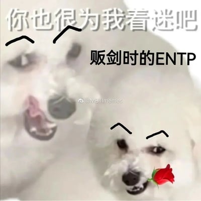 这是一张MBTI主题的表情包，展示了两只白色小狗。左边的小狗吐着舌头，带着顽皮的表情；右边的小狗嘴里叼着一朵玫瑰，表情自信。图片上方配有文字“你也很为我着迷吧”，中间有“贩剑时的ENTP”字样，幽默地表现了ENTP人格类型顽皮、爱挑衅的特点。