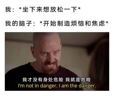 这是一张精准戳中当代人精神内耗的自嘲式梗图，整体采用图文混排的形式：上方用分角色的文字还原了日常场景——当“我”试图坐下来放松身心时，自己的脑子却开始主动制造烦恼与焦虑；下方搭配美剧《绝命毒师》中主角沃尔特·怀特的经典愤怒截图，将原剧里彰显威慑力的台词“我才没有身处危险 我就是危险”进行语境重构，把自身制造的焦虑情绪比作让人无法放松的“危险”，用戏谑夸张的方式，生动展现了很多人在试图放松时，反而被内心的焦虑、负面思绪困扰的状态，借助影视经典梗的传播力，引发受众的强烈共鸣。