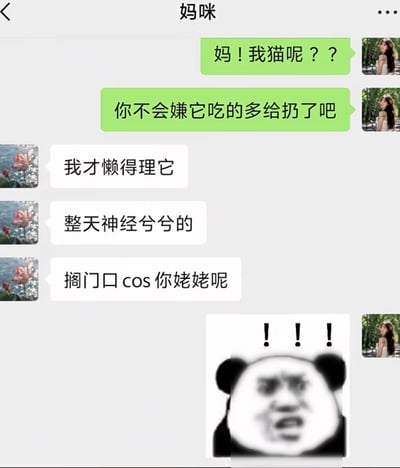 这是一张微信聊天界面的截图，聊天双方是备注为“妈咪”的母亲和其子女。子女先连发两条消息，焦急询问母亲自己的猫在哪里，还调侃母亲会不会嫌猫吃得多把猫扔了。母亲随后回复表示自己懒得理那只猫，吐槽猫整天神神叨叨的，并称猫现在在门口COS姥姥，最后子女发送了一张头顶三个感叹号的震惊熊猫头表情包作为回应，整体内容轻松搞笑，充满反差感和生活化的趣味。