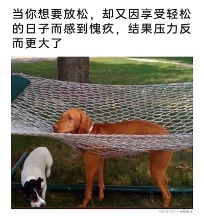 这是一张图文结合的趣味梗图，上方配文描述了一种常见的心理状态：想要放松，却又因享受轻松而心生愧疚，最终反而压力更大。图中一只棕色狗狗试图躺在网状吊床上放松，但身体被吊床的网兜住，上半身趴在吊床里，下半身却不得不站立在地面上，呈现出想放松却无法真正实现的尴尬姿态，旁边还有一只黑白花色的小狗在吊床下方活动。狗狗的无奈姿态与配文完美呼应，生动且幽默地诠释了那种想休息却内心充满焦虑和愧疚的矛盾心情，很容易引发人们的共鸣。