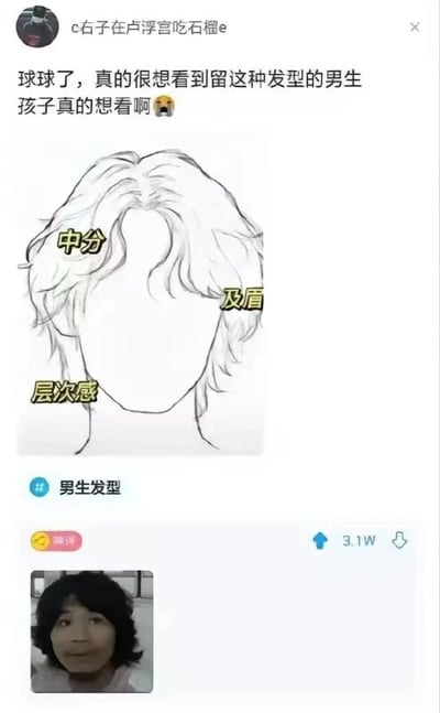 社交媒体用户发布的求助帖，内容为希望看到留特定发型的男生。帖子包含一段文字：'球球了，真的很想看到留这种发型的男孩子真的想看啊🐶'，下方配有手绘的发型草图，草图上用黄色文字标注了'中分'、'及眉'、'层次感'三个关键特征。帖子下方显示有3.1W的点赞量，反映出该内容具有一定的用户关注度和互动性。