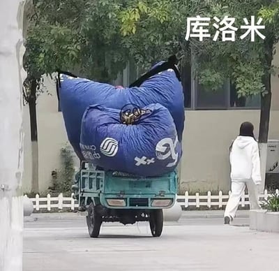 图片中一辆绿色三轮车正载着几个巨大的蓝色编织袋，袋子因体积庞大且形状特殊，从后方看酷似卡通角色库洛米标志性的大耳朵。右上角配有文字“库洛米”，巧妙地将现实中的运输场景与二次元形象联系起来，形成幽默的视觉联想。背景中有树木、白色围栏和建筑物，一名身穿白色连帽衫和白色裤子的行人正从右侧走过，整体画面充满生活气息又带有搞笑元素。