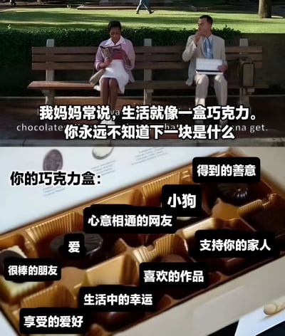 这是一张上下对比结构的梗图。上半部分是电影《阿甘正传》的经典场景，福雷斯特·甘普坐在公园长椅上，手里拿着一盒巧克力，旁边有一位正在看书的女士。图片上配有电影中的经典台词："我妈妈常说，生活就像一盒巧克力。你永远不知道下一块是什么"。下半部分是一个打开的巧克力盒特写，每个巧克力格子上都有一个黑色文字标签，分别写着："爱"、"很棒的朋友"、"心意相通的网友"、"小狗"、"得到的善意"、"支持你的家人"、"喜欢的作品"、"生活中的幸运"和"享受的爱好"。这种改编将原句中对未知的隐喻转化为对生活中美好事物的积极诠释。