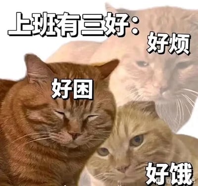 这是一张多图拼接的静态文字加注表情包，将三只状态不同的橘猫图像组合在一起，搭配核心文字“上班有三好：好困、好烦、好饿”。其中左侧橘猫双眼紧闭，满脸疲惫困倦，对应配文“好困”；下方橘猫眼神无神，嘴角流着口水，对应配文“好饿”；上方半透明的橘猫表情烦躁，眼神不耐，对应配文“好烦”。该图以猫咪的真实状态类比上班族在工作时常见的疲惫、烦躁和饥饿的状态，用幽默调侃的方式精准戳中职场人的日常小痛点，适合职场人在社交场景中用来抒发上班时的负面小情绪。